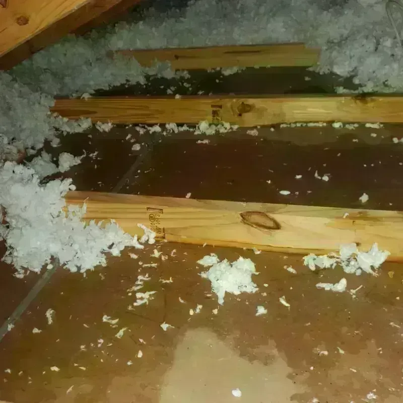 Attic Water Damage in Scotland County, NC