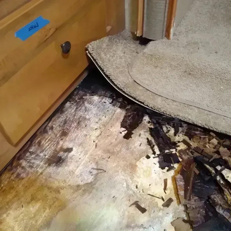 Wood Floor Water Damage in Scotland County, NC